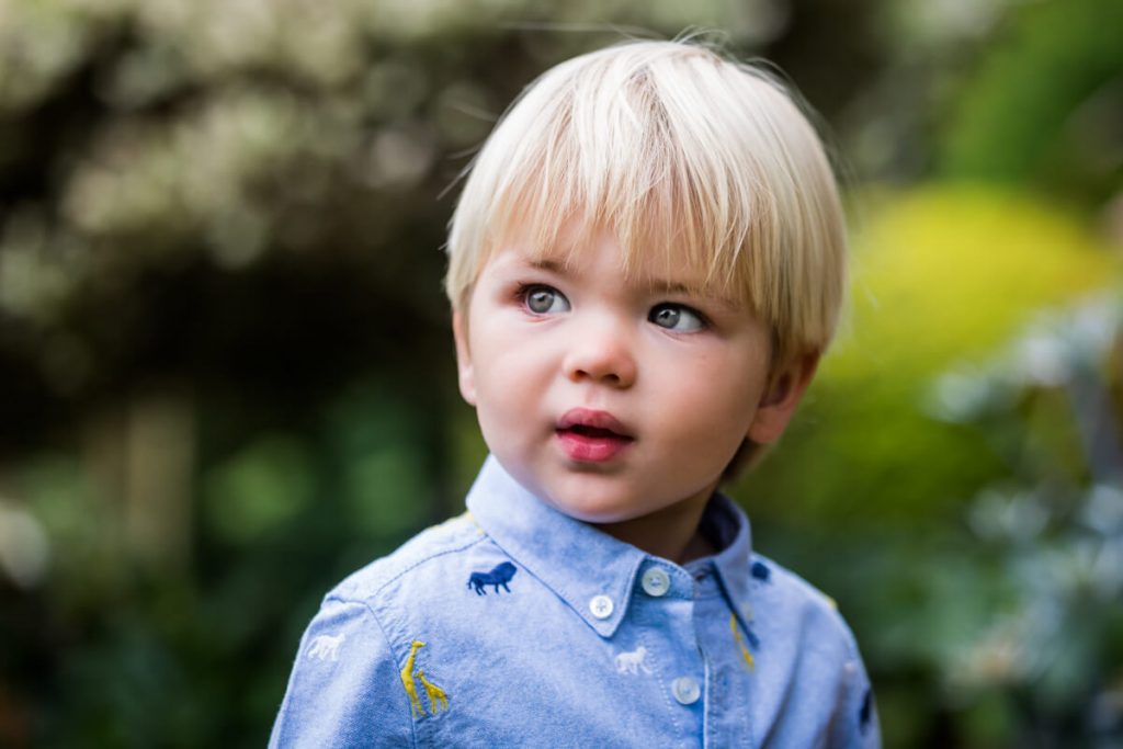portrait of a little boy