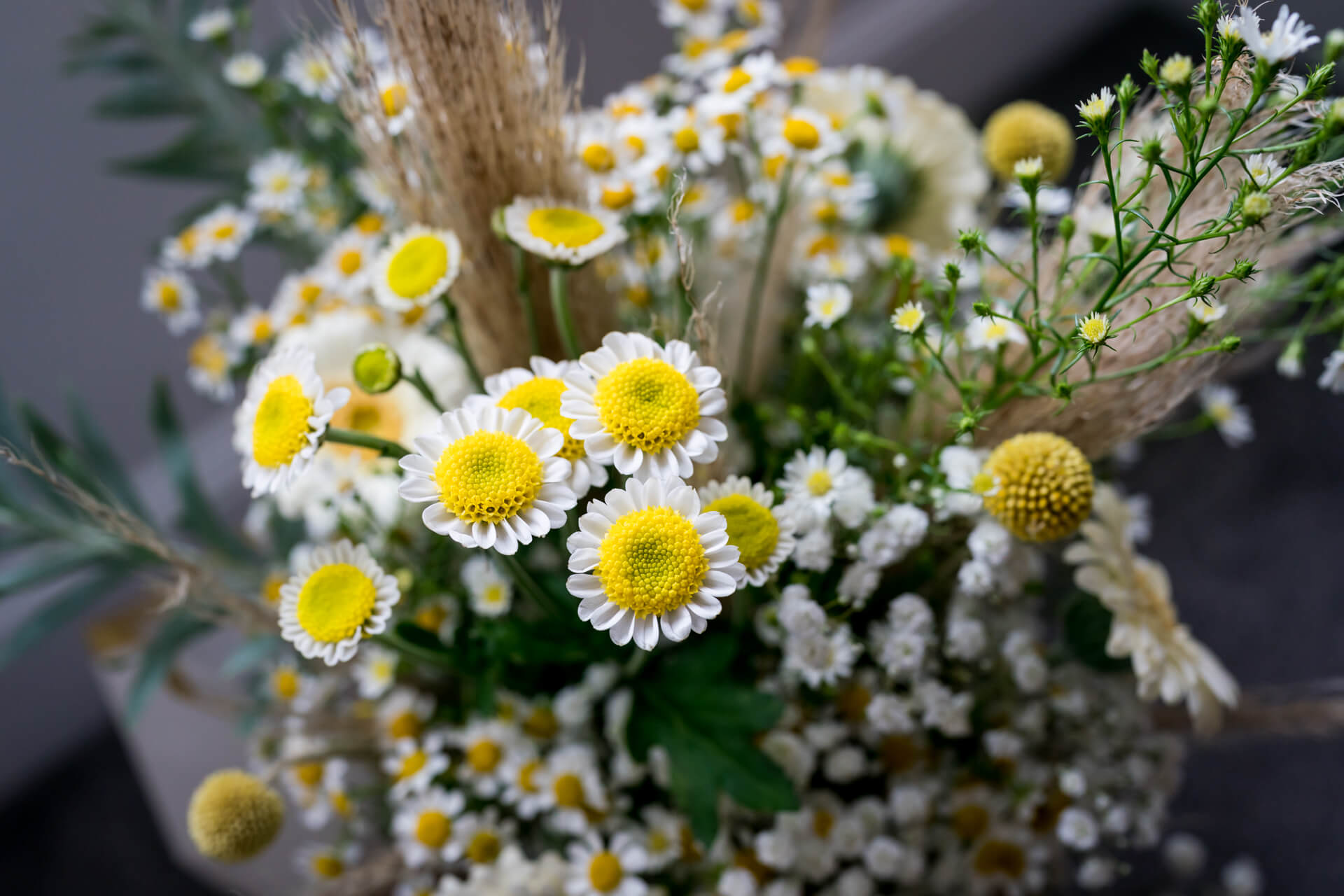 Bouquet of daisies and wildflowers on a table.